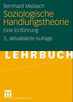 Soziologische Handlungstheorie