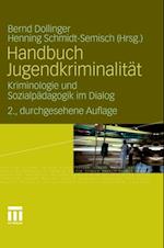 Handbuch Jugendkriminalität