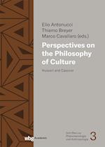 Perspectives on the Philosophy of Culture