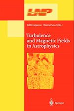 Turbulence and Magnetic Fields in Astrophysics