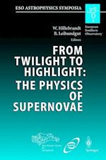 From Twilight to Highlight: The Physics of Supernovae