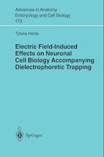 Electric Field-Induced Effects on Neuronal Cell Biology Accompanying Dielectrophoretic Trapping