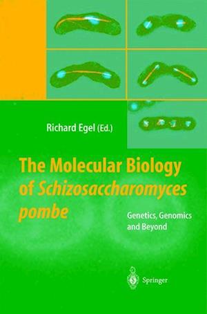 The Molecular Biology of Schizosaccharomyces pombe