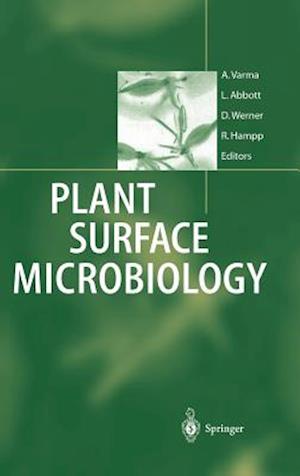 Plant Surface Microbiology