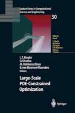 Large-Scale PDE-Constrained Optimization