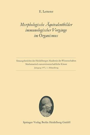 Morphologische Äquivalentbilder Immunologischer Vorgänge Im Organismus