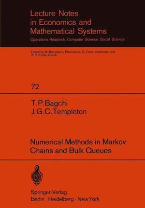 Numerical Methods in Markov Chains and Bulk Queues