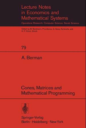 Cones, Matrices and Mathematical Programming