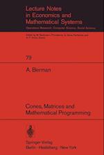 Cones, Matrices and Mathematical Programming