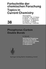 Phosphorus-Carbon Double Bonds