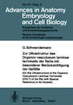 Zur Ultrastruktur des Organon Vasculosum Laminae Terminalis der Ratte Mit Besonderer Berucksichtigung der Gefasse