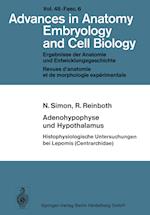 Adenohypophyse Und Hypothalamus Histophysiologische Untersuchungen Bei Lepomis (Centrarchidae)