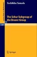 The Schur Subgroup of the Brauer Group