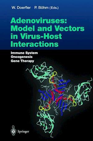 Adenoviruses: Model and Vectors in Virus-Host Interactions