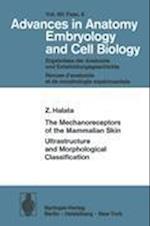 The Mechanoreceptors of the Mammalian Skin Ultrastructure and Morphological Classification