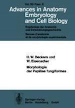 Morphologie Der Papillae Fungiformes