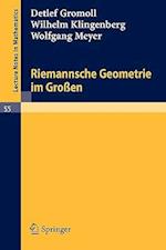 Riemannsche Geometrie Im Großen