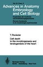Cell death in the morphogenesis and teratogenesis of the heart