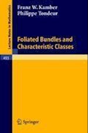 Foliated Bundles and Characteristic Classes