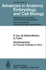 Morphogenesis of Thyroid Follicles in Vitro