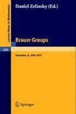 Brauer Groups