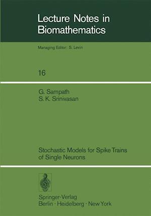 Stochastic Models for Spike Trains of Single Neurons