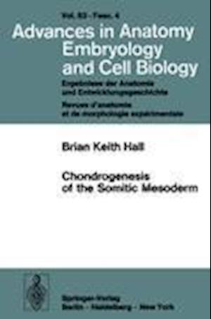 Chondrogenesis of the Somitic Mesoderm