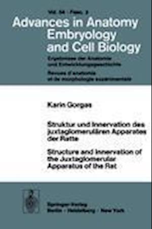 Struktur und Innervation des Juxtaglomerularen Apparates der Ratte / Structure and Innervation of the Juxtaglomerular Apparatus of the Rat