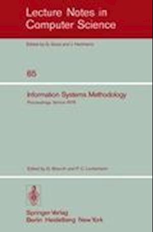 Information Systems Methodology