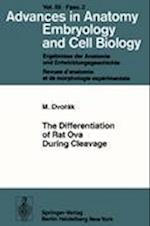 The Differentiation of Rat Ova During Cleavage
