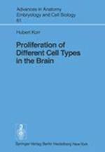 Proliferation of Different Cell Types in the Brain