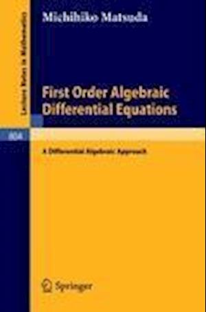 First Order Algebraic Differential Equations