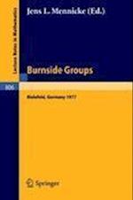 Burnside Groups