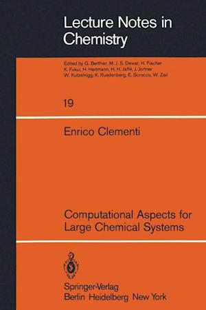 Computational Aspects for Large Chemical Systems