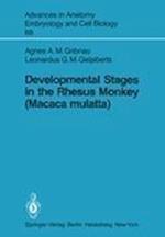 Developmental Stages in the Rhesus Monkey (Macaca mulatta)