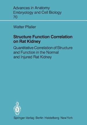 Structure Function Correlation on Rat Kidney