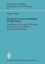 Structure Function Correlation on Rat Kidney
