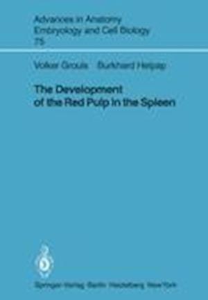 The Development of the Red Pulp in the Spleen