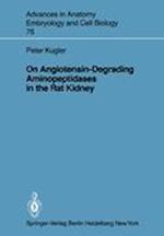 On Angiotensin-Degrading Aminopeptidases in the Rat Kidney