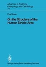 On the Structure of the Human Striate Area
