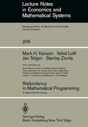 Redundancy in Mathematical Programming