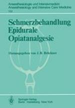 Schmerzbehandlung Epidurale Opiatanalgesie