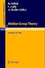 Abelian Group Theory