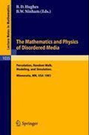 The Mathematics and Physics of Disordered Media