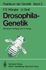 Drosophila-Genetik