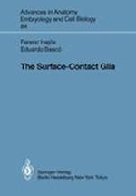 The Surface-Contact Glia