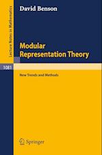 Modular Representation Theory