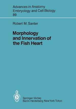 Morphology and Innervation of the Fish Heart