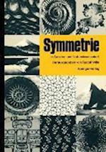 Symmetrie in Geistes- und Naturwissenschaft