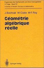 Geometrie Algebrique Reelle
